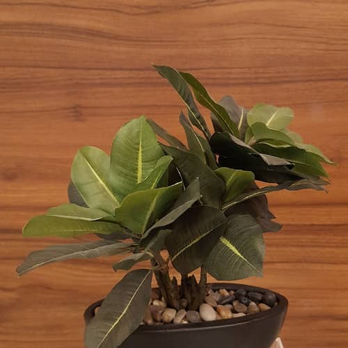 Black Round Table Pot with Plant
