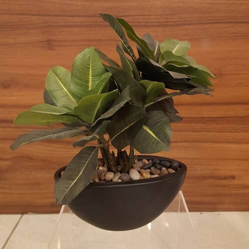 Black Round Table Pot with Plant