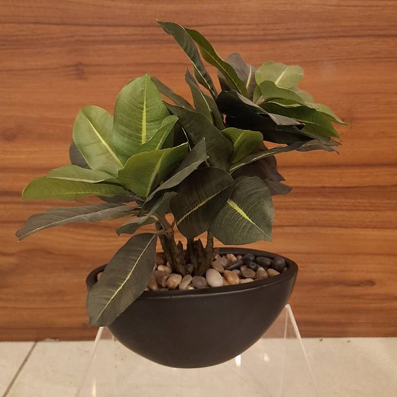 Black Round Table Pot with Plant