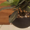 Black Round Table Pot with Plant - left_view