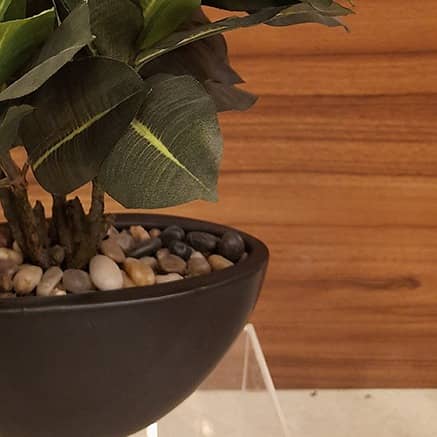 Black Round Table Pot with Plant