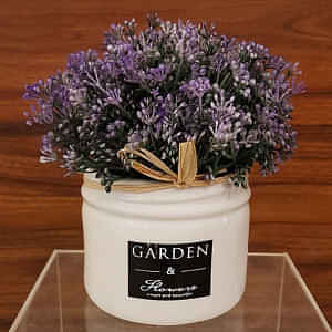 White Ceramic Small Planter with some flower - photo