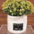 White Ceramic Pot With Small Artificial Flowers - rear_view