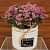 White Ceramic Small Flower Planter - photo