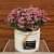 White Ceramic Small Flower Planter - top_view