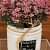 White Ceramic Small Flower Planter - rear_view
