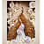 Peacock Mural Ceramic Tile - rear_view