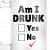 Am I Drunk Yes or No design Beer Mug - front_view