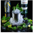 Stainless Steel Mint Julep Cup (Pack of 2) - rear_view