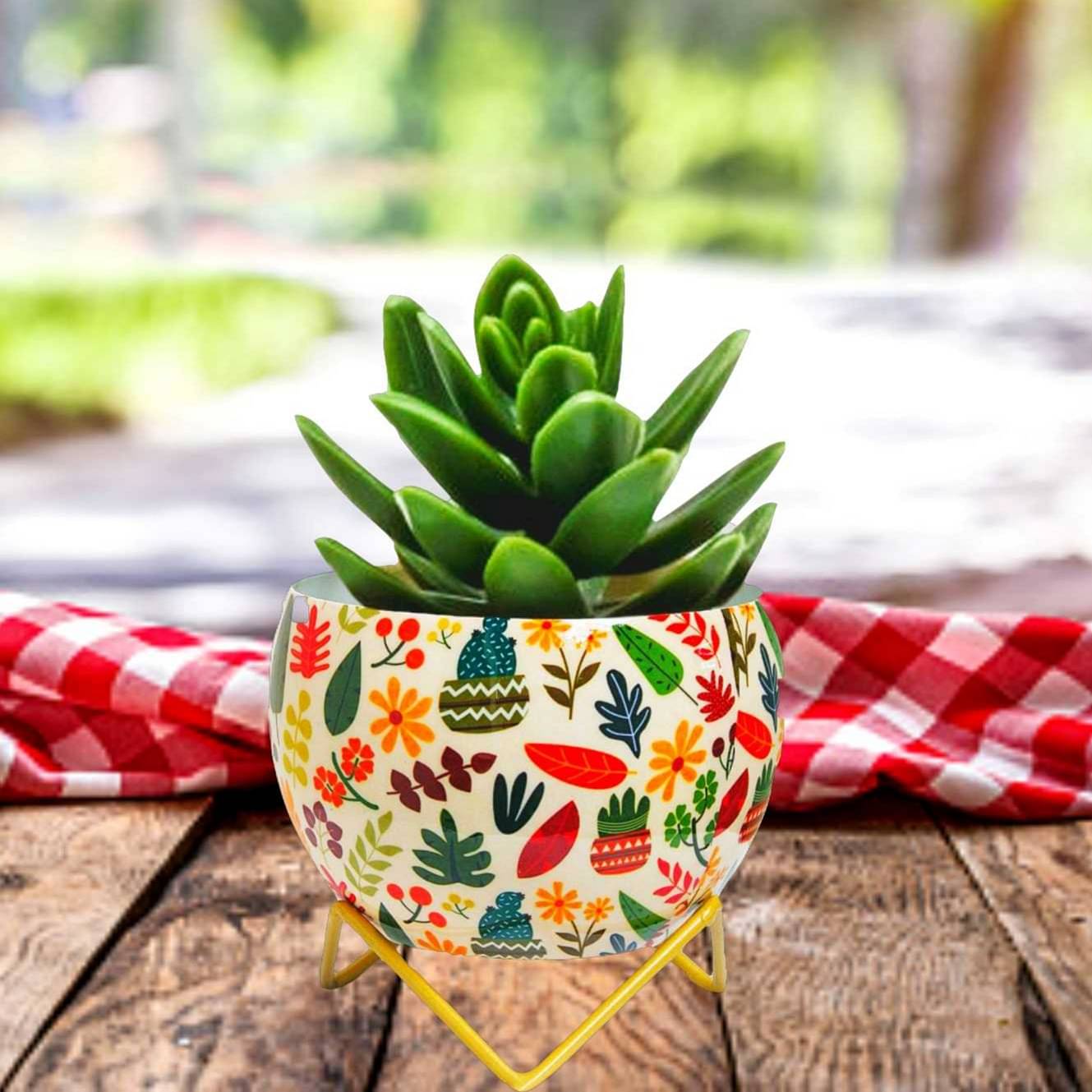 Leaves Cactus Metal Pot 5"