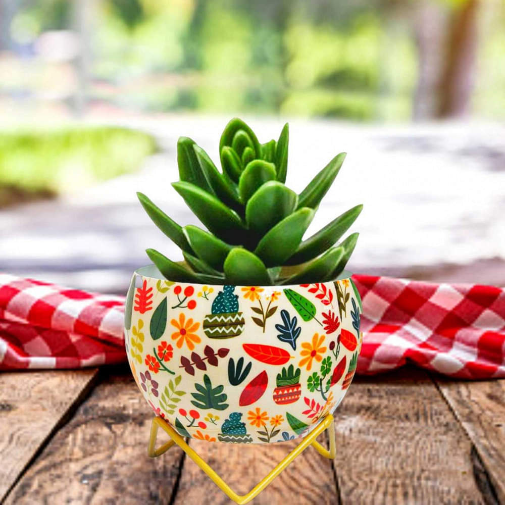 Leaves Cactus Metal Pot 5" - photo