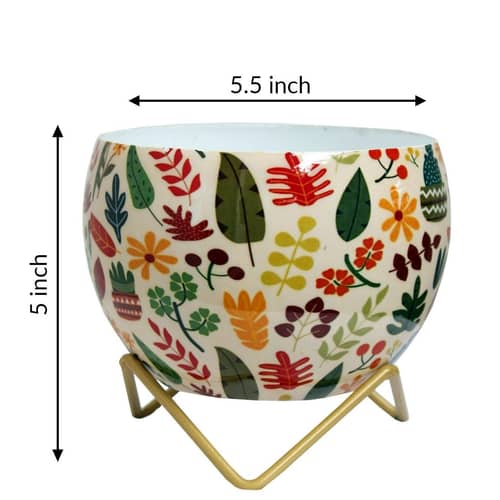 Leaves Cactus Metal Pot 5"