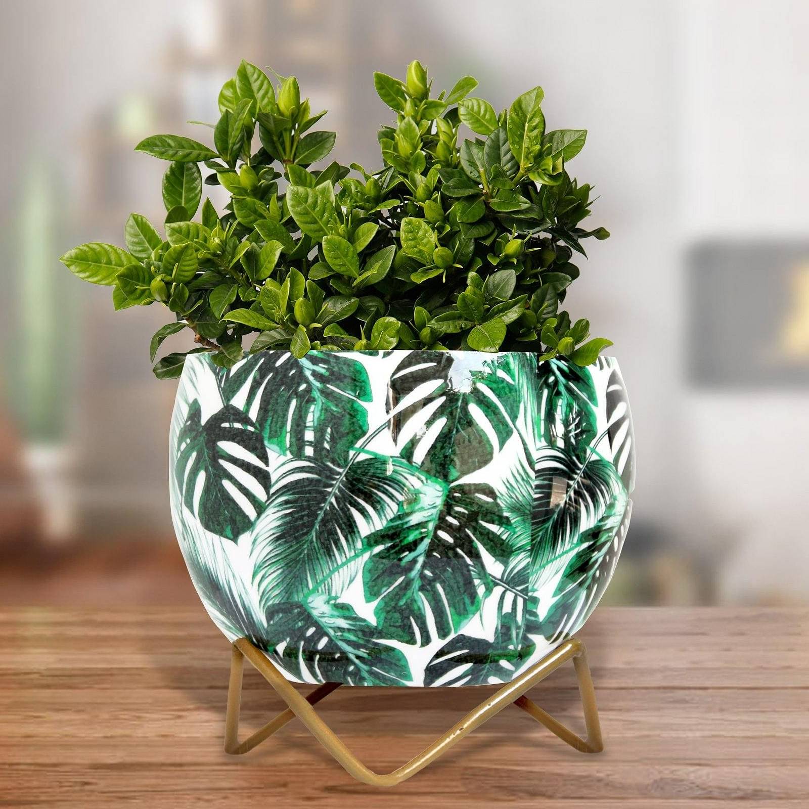 Monstera Deliciosa Leaves Metal Pot 5"