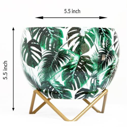 Monstera Deliciosa Leaves Metal Pot 5"