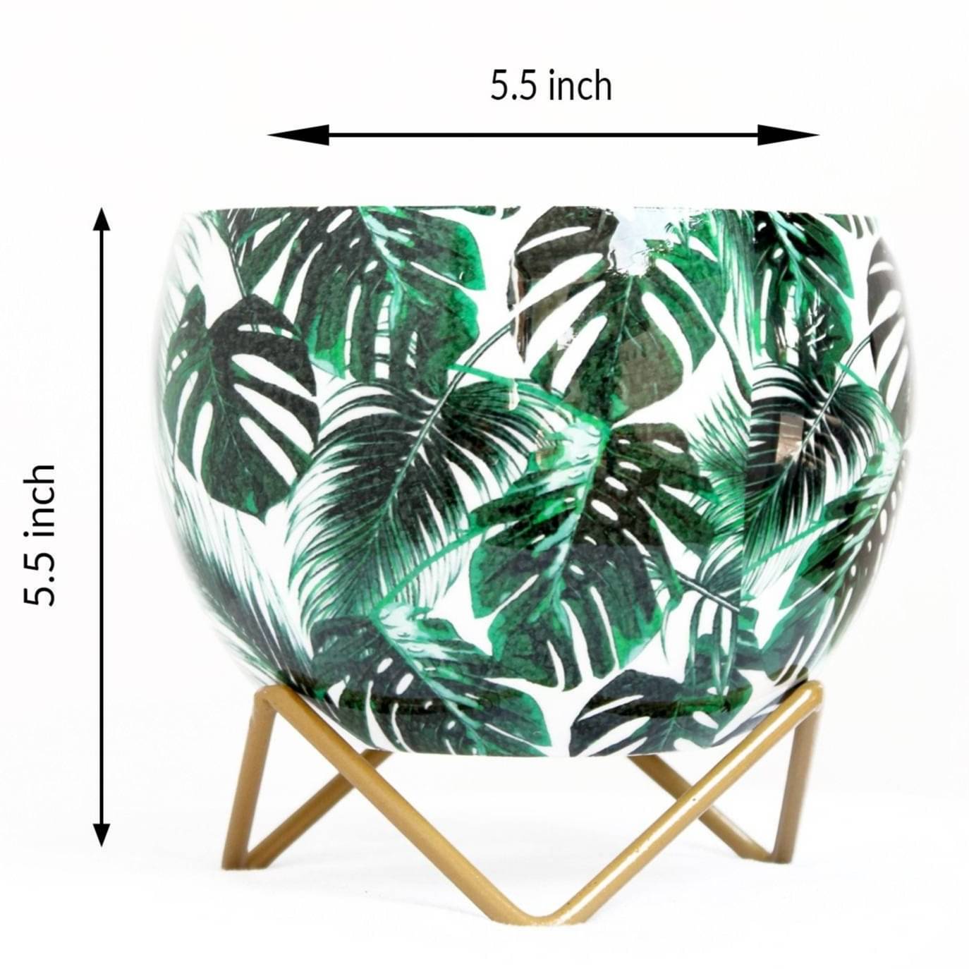 Monstera Deliciosa Leaves Metal Pot 5"