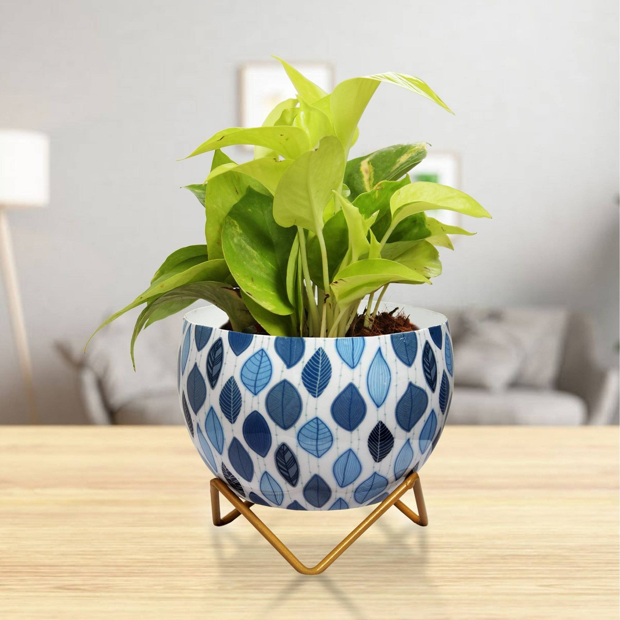 Leafy Design Metal Pot 5"