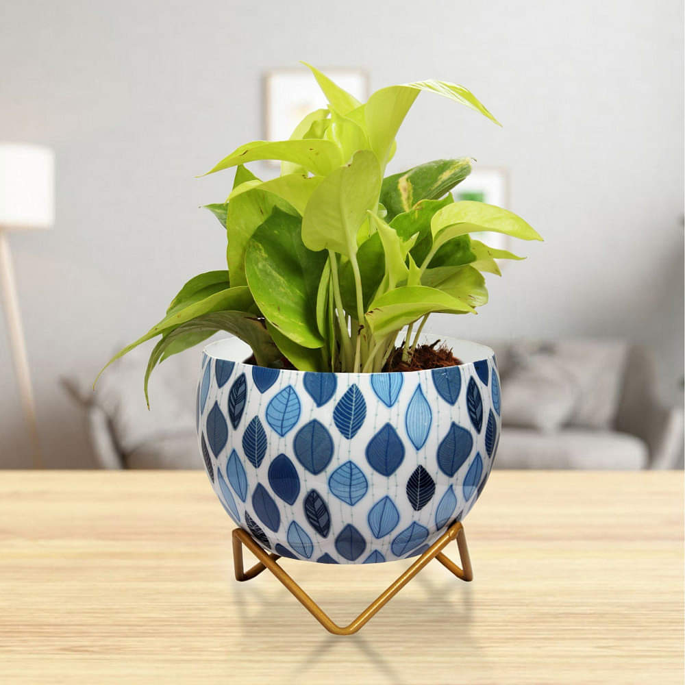 Leafy Design Metal Pot 5" - photo