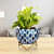 Leafy Design Metal Pot 5" - photo