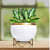 White & Golden Dual Tone Metal Pot 5" - photo