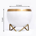 White & Golden Dual Tone Metal Pot 5" - front_view