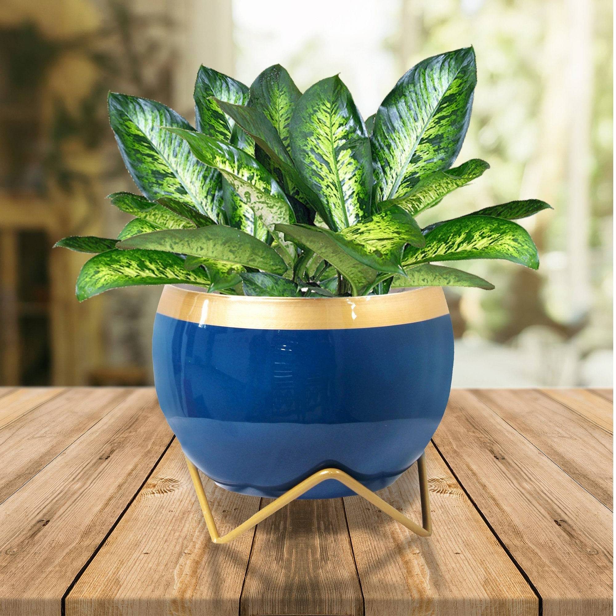 Blue & Golden Dual Tone Metal Pot 5"