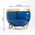 Blue & Golden Dual Tone Metal Pot 5" - front_view
