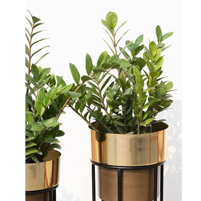 Indoor Golden Metal Planters with Stand (Set of 2)