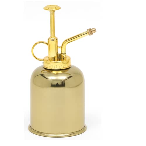Water Mist Mini Sprayer Can (Water Capacity 250 ML)
