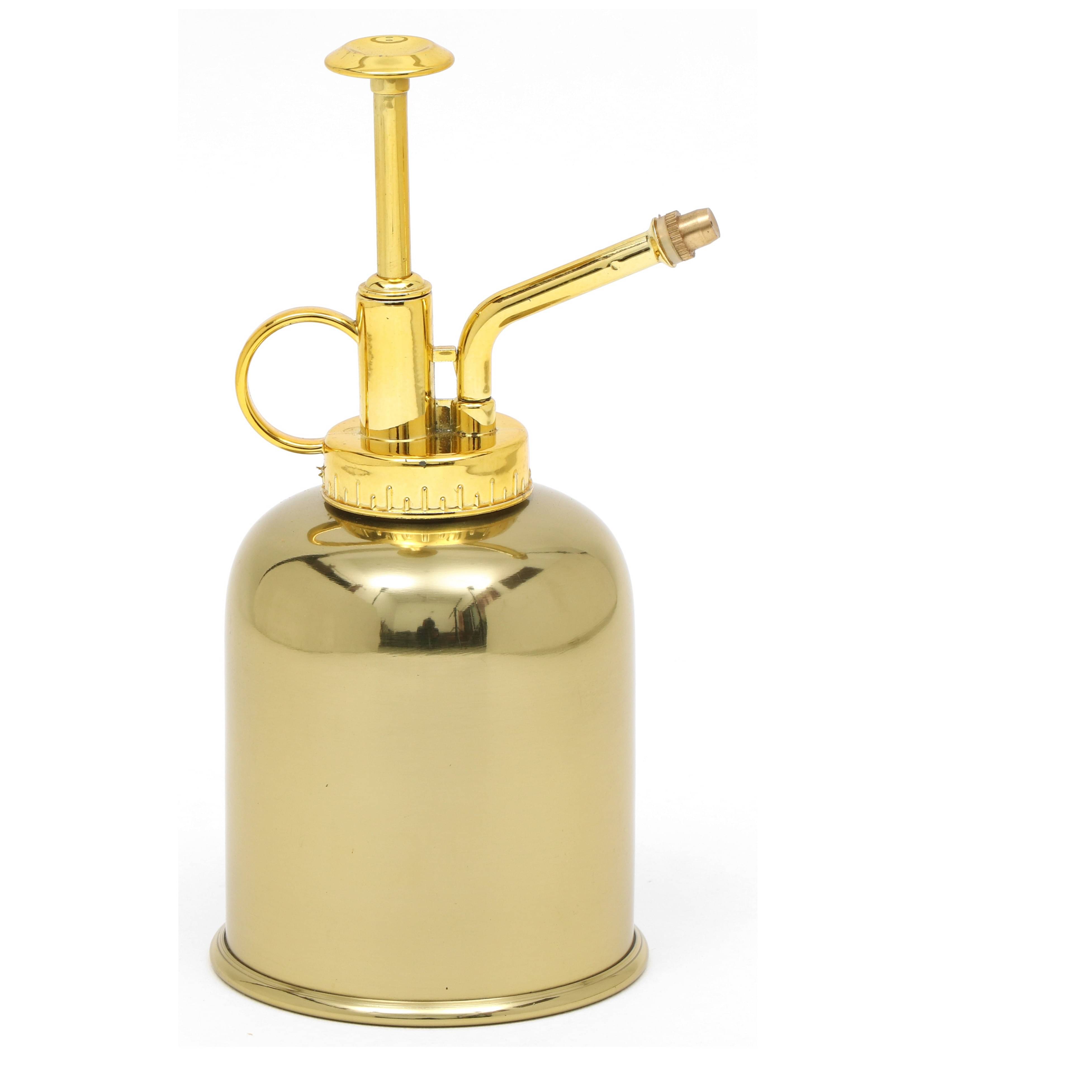 Water Mist Mini Sprayer Can (Water Capacity 250 ML)