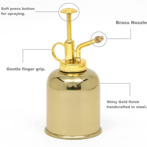 Water Mist Mini Sprayer Can (Water Capacity 250 ML)