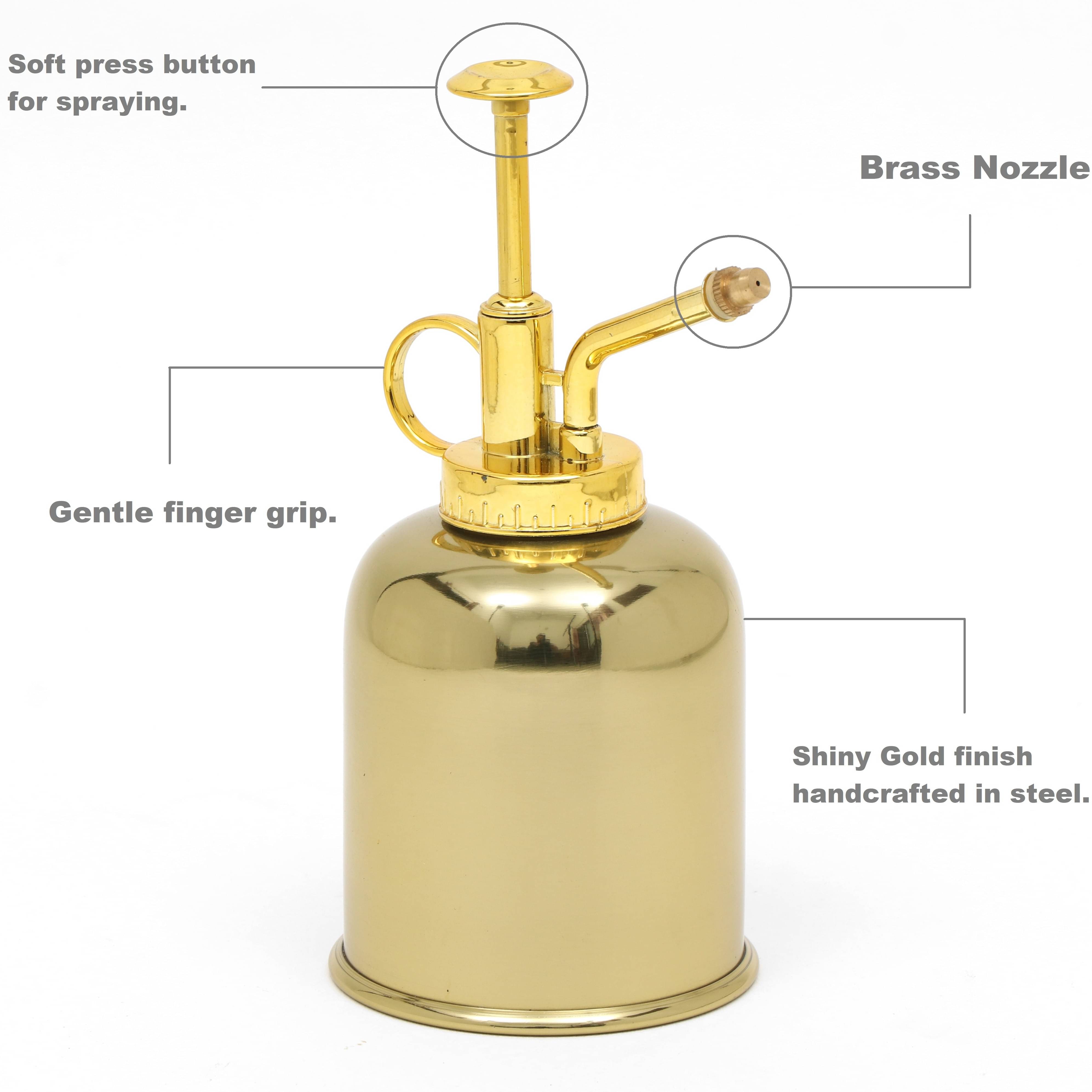 Water Mist Mini Sprayer Can (Water Capacity 250 ML)