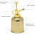 Water Mist Mini Sprayer Can (Water Capacity 250 ML) - front_view