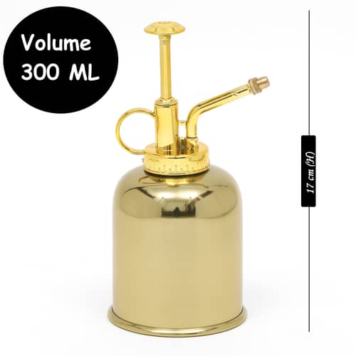 Water Mist Mini Sprayer Can (Water Capacity 250 ML)