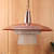 Decorative Hanging Light - rear_view