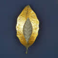 Leaf Design Decorative Wall Light - top_view