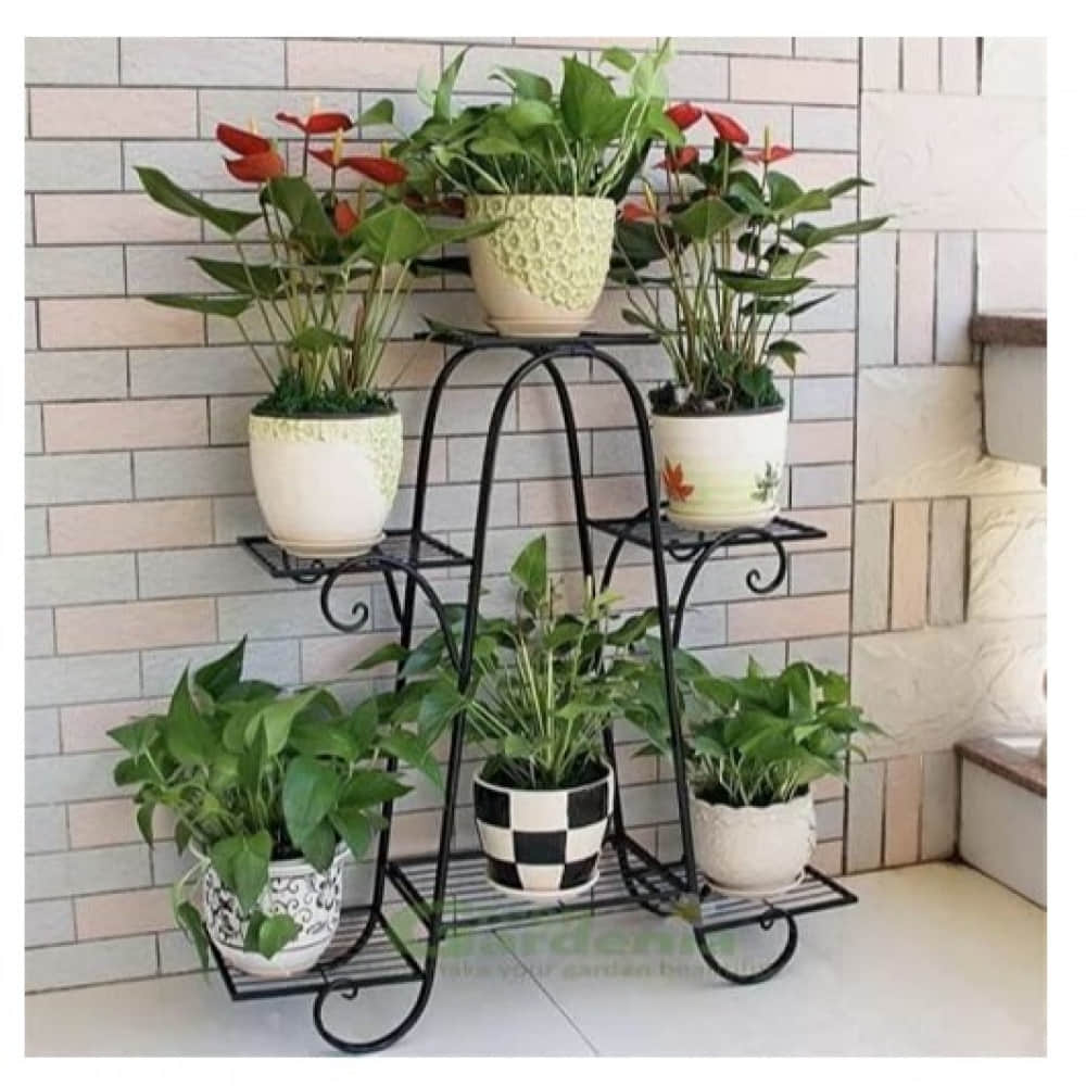 Derby Six Tier Plant Stand (Black) - photo