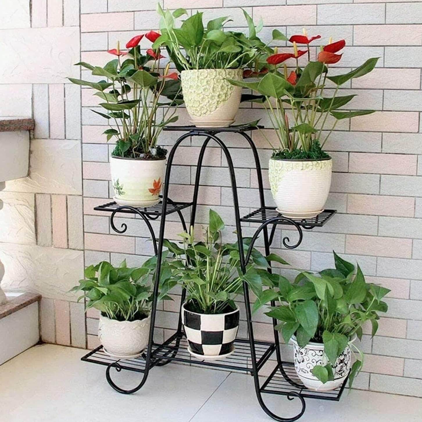 Derby Six Tier Plant Stand (Black) - front_view