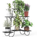 Derby Six Tier Plant Stand (Black) - rear_view