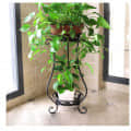 Sebastian Metal Plant Stand (Black) - photo
