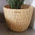 Oval Shape made of Kauna Grass Planter - photo