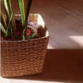 V-Shape Kauna Grass Planter - photo
