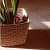 V-Shape Kauna Grass Planter - photo