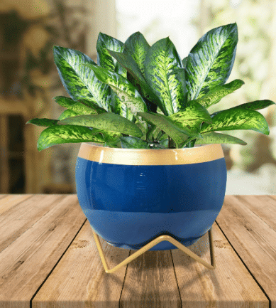 Blue & Golden Dual Tone Metal Pot 5" - top_view