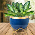 Blue & Golden Dual Tone Metal Pot 5" - top_view
