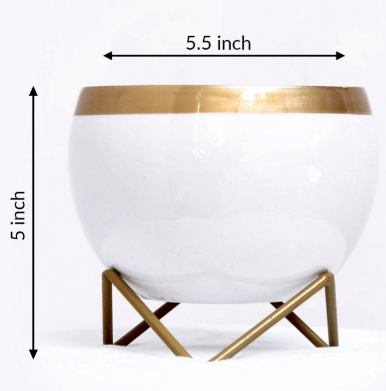 White & Golden Dual Tone Metal Pot 5" - rear_view