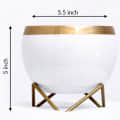 White & Golden Dual Tone Metal Pot 5" - rear_view