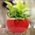 Red & Golden Dual Tone Metal Pot 5" - top_view