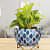 Leafy Design Metal Pot 5" - top_view