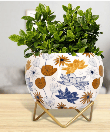 Lotus Tulip Divine Metal Pot 5" - rear_view