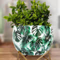 Monstera Deliciosa Leaves Metal Pot 5" - top_view